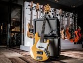 The Bass: The History, Technique & Tips