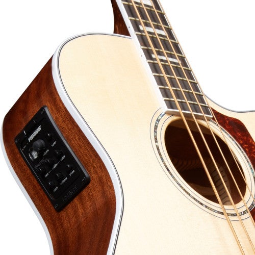 Should I Get an Acoustic or an Electro-Acoustic Bass?