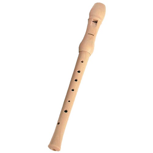 What is a Recorder?