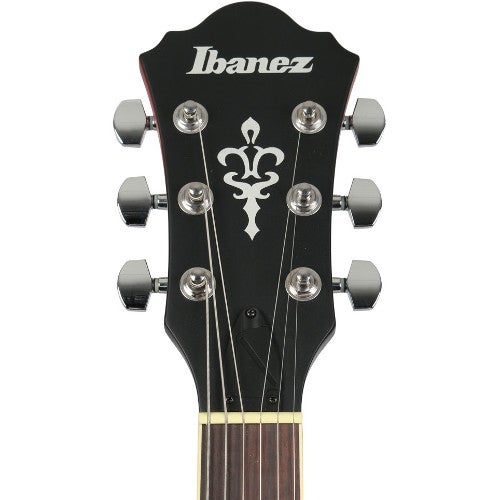 I have an Ibanez Hollowbody. Which Gig Bag or Case Will Fit?