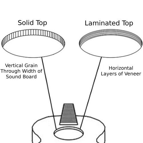 Should I Get a Fully Laminated, Solid Top, or All-Solid Acoustic Bass?